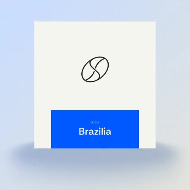 Brazilia Delas